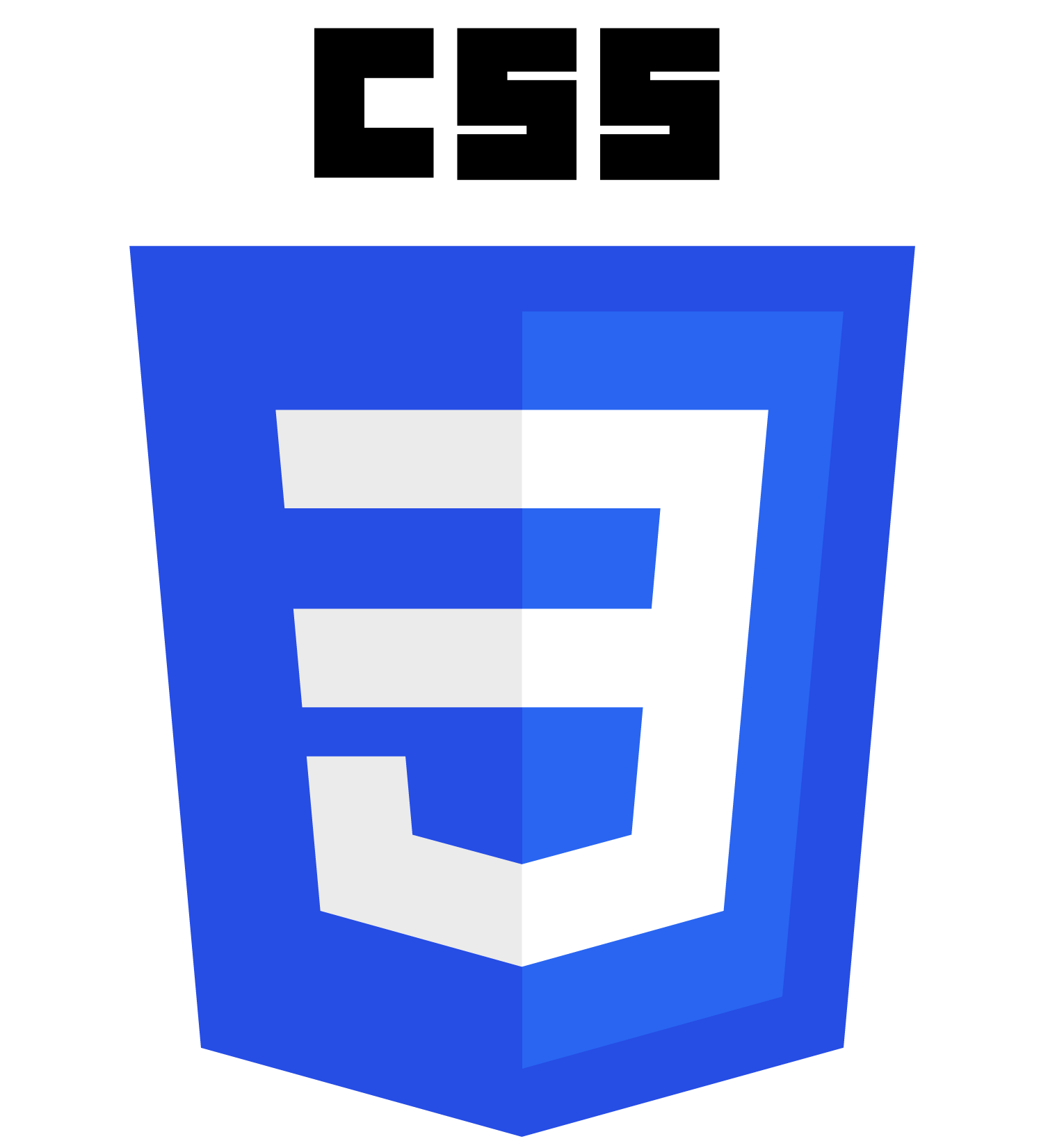 Logo de CSS